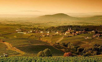 鄉(xiāng)村旅游與傳統(tǒng)農(nóng)業(yè)實現(xiàn)融合發(fā)展 4大要點 5大模式