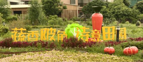 科技農(nóng)業(yè) 度假旅游,源城蔬菜現(xiàn)代農(nóng)業(yè)產(chǎn)業(yè)園打造農(nóng)旅融合發(fā)展樣板