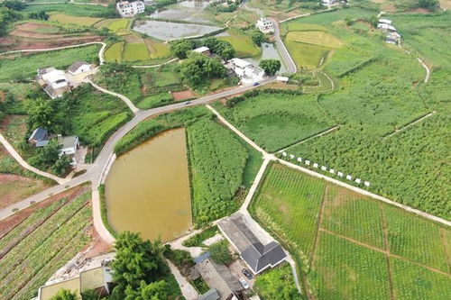 厲害了 宜賓這個(gè)縣被全國點(diǎn)名表揚(yáng) 快看是你家鄉(xiāng)嗎