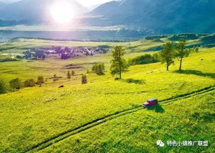 休閑農(nóng)業(yè)總體規(guī)劃包括哪些要素