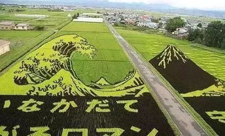 2019年,7個(gè)能賺錢的農(nóng)業(yè)新模式