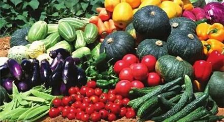 未來農(nóng)業(yè)將是最賺錢的項目,神木農(nóng)產(chǎn)品電子商務(wù)開發(fā)研究投資方案在這里