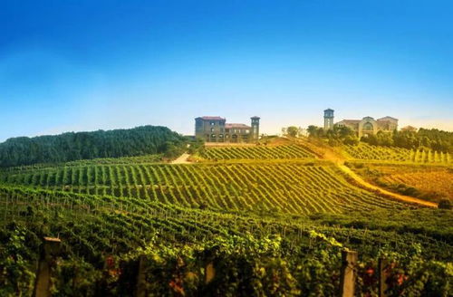 要火 2023江蘇省鄉村游精品出爐,盱眙這條旅游線路入選