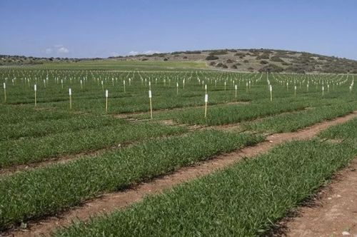 青州地主網(wǎng) 首個(gè)國(guó)家級(jí)農(nóng)業(yè)綜合試驗(yàn)區(qū)落戶(hù)山東 15大紅利 下一個(gè)會(huì)是