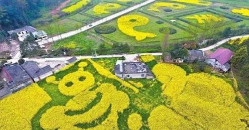 農(nóng)業(yè)最賺錢(qián)的一年要來(lái)了