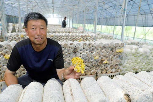 多彩菌花開(kāi)滿(mǎn)音河岸