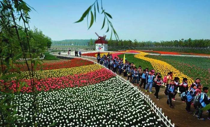 行走的課堂--帶你走進(jìn)陜西十大自然生態(tài)研學(xué)旅游目的地