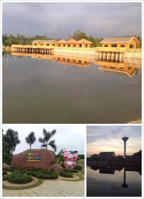 一文讀懂國(guó)家現(xiàn)代農(nóng)業(yè)主題公園及其類(lèi)型