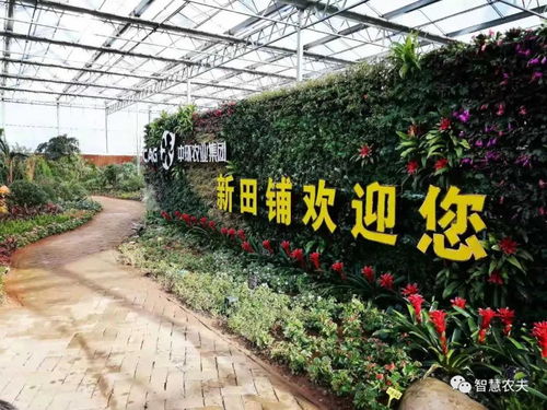 浙江新田鋪智慧農(nóng)業(yè)蔬果工廠(chǎng) 正式投產(chǎn)運(yùn)行