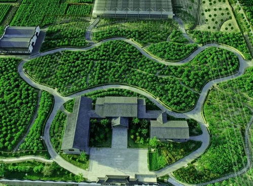 恭喜 鹽城這5個(gè)鎮(zhèn) 全國(guó)首批