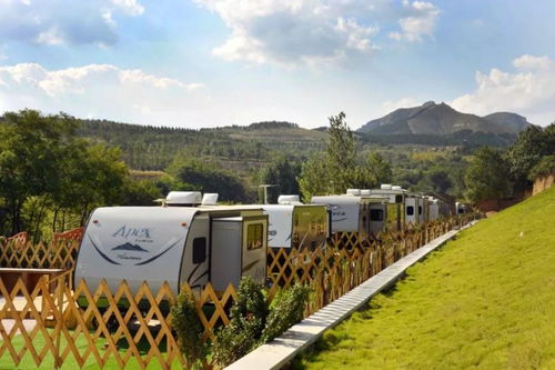 旅游 農(nóng)業(yè) 健康產(chǎn)業(yè)一個(gè)都不能少,多種經(jīng)營(yíng)拓寬致富路