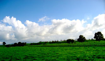 全球九大休閑農(nóng)業(yè)的主要模式和發(fā)展趨勢