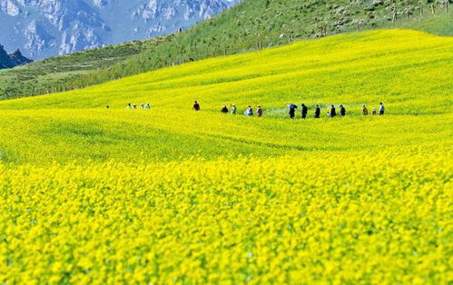 民樂 下好 先手棋 推動文旅產(chǎn)業(yè)繁榮發(fā)展