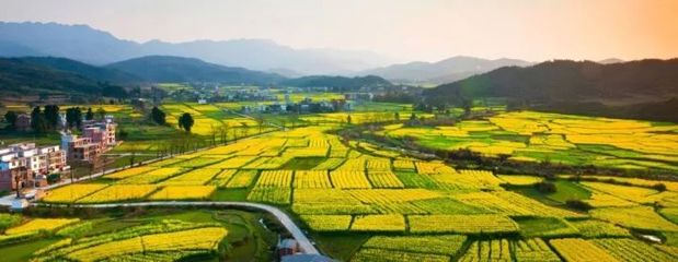 探討:如何鄉(xiāng)村振興?是靠農(nóng)業(yè)主題公園還是田園綜合體項(xiàng)目?_旅游