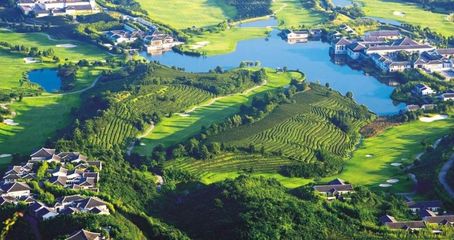 現(xiàn)代農(nóng)業(yè)產(chǎn)業(yè)園:為什么能成為國家政策焦點(diǎn)?