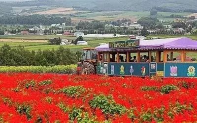 &ldquo;田園綜合體&rdquo;怎么搞?我們搜集了一些的經驗