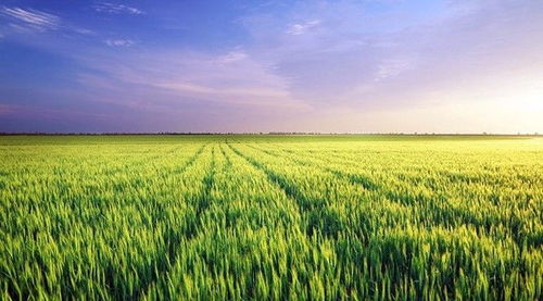 康養(yǎng)旅居 休閑農(nóng)業(yè) 旅游地產(chǎn),未來10年中國最大的投資機(jī)會