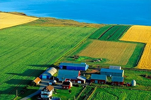 什么是家庭農(nóng)場 支持農(nóng)業(yè)轉(zhuǎn)型家庭農(nóng)場,具體會有什么好處