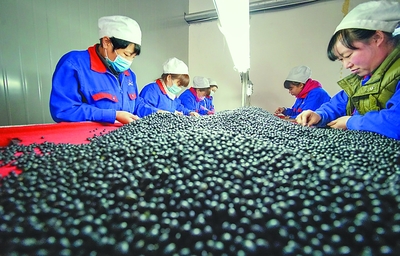 綏化譜寫全面振興發展新篇章