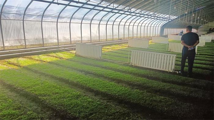 西北中藥材種質資源收集保護與開發利用研討會專家學者實地調研甘肅中醫藥產業發展