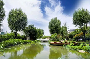 中牟縣雁鳴湖鎮(zhèn) 旅游 農(nóng)業(yè) 生態(tài) 融合發(fā)展 繪就全域旅游 新畫卷