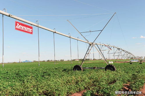 鵬睿集團 田園綜合體 振興鄉(xiāng)村戰(zhàn)略發(fā)展