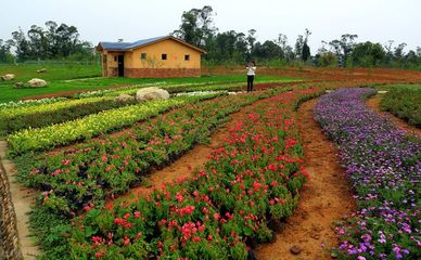 農(nóng)業(yè)+旅游+康養(yǎng)綜合農(nóng)旅產(chǎn)業(yè)化,如何進行特色創(chuàng)意規(guī)劃?