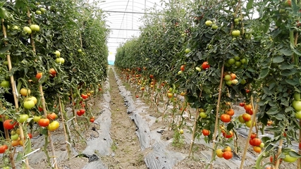 隴川農信社:扶持&ldquo;三農&rdquo;企業助力脫貧攻堅