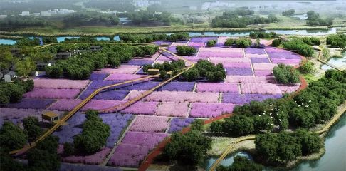 文博堂告訴你現(xiàn)代農(nóng)業(yè)產(chǎn)業(yè)園區(qū)開發(fā)模式及五大運(yùn)營模式!