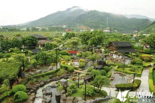 厲害了湖州的這個(gè)村 今天這里開了國家級的大會(huì)