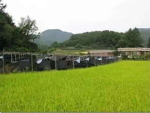 國外鄉(xiāng)村旅游開發(fā)模式及案例解析