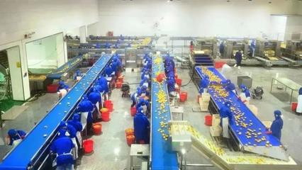 開局之年看經(jīng)濟(jì)③ | 江淮&ldquo;豐&rdquo;景 &ldquo;皖&rdquo;美繪就