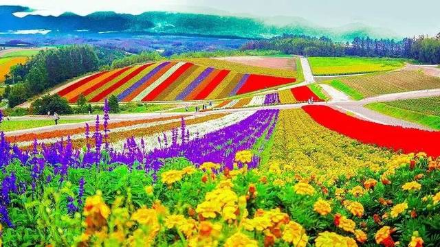 失敗的休閑農業案例告訴我們,除了錢這些東西也很重要!