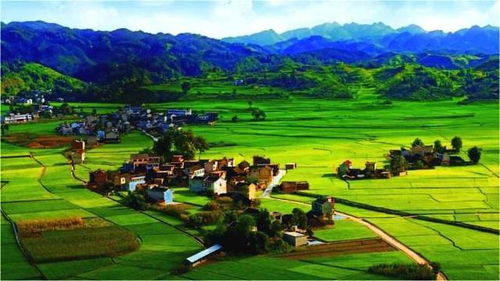 蛋先生 為何農產品豐收即滯銷,農民豐收就虧本