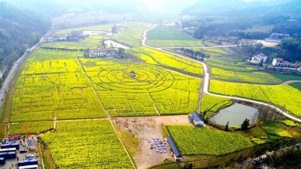 【特別關(guān)注】深耕兩年,六安這個區(qū)孕育出&ldquo;美麗經(jīng)濟(jì)&rdquo;