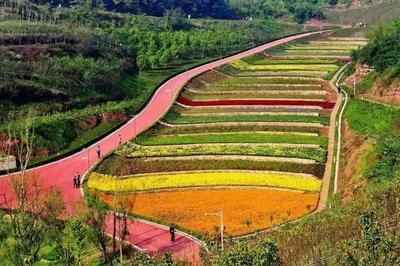 2018年&ldquo;農(nóng)業(yè)+文化+旅游+地產(chǎn)&rdquo;:一場農(nóng)業(yè)旅游大爆炸!