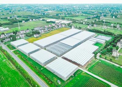 廣陳鎮(zhèn)綠跡數(shù)字農(nóng)業(yè)工廠扮靚農(nóng)業(yè)特色美麗城鎮(zhèn)