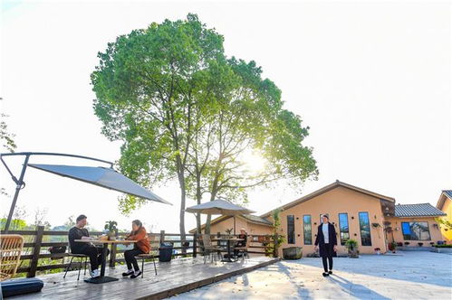 發展現代休閑農業，促進旅游產業升級