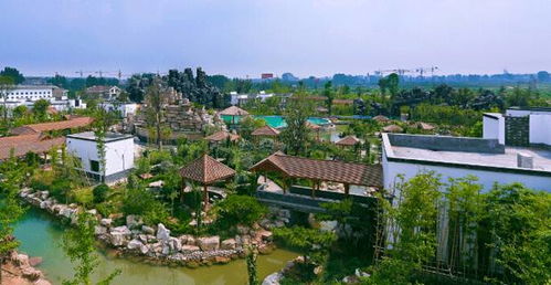 雙12旅游爆買節，農業旅游開發超值折扣不容錯過