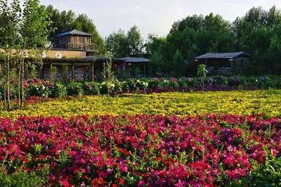 休閑農(nóng)業(yè)旅游規(guī)劃的模式與核心要求