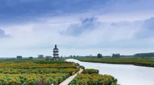 牛興化入圍全國休閑農(nóng)業(yè)和鄉(xiāng)村旅游綜合發(fā)展實力10強(qiáng)縣 農(nóng)業(yè)旅游開發(fā)的典范