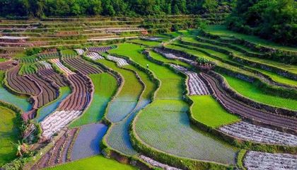 洛江農(nóng)業(yè)旅游開發(fā) 適合的模式分析與展望