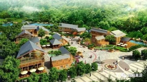 巢湖之畔 智慧養(yǎng)老、七旬拳師與農(nóng)業(yè)旅游的融合新篇