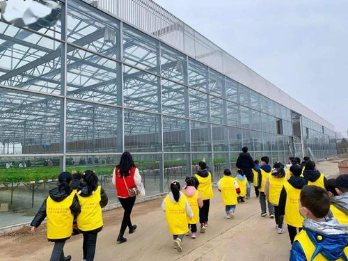 公益小天使 認知的旅行，樂享農業科技魅力的農業旅游開發