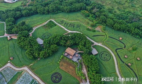 點贊！廣州從化四個特色小鎮擬納入省級培育庫，農業旅游開發譜寫新篇