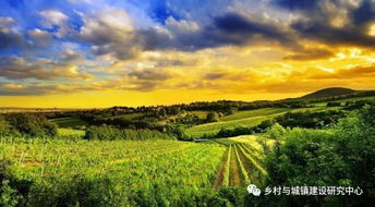 農旅融合新紀元 引爆“農業+”康養文旅地產的復合型開發浪潮