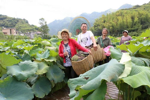 請人民閱卷丨村頭鎮 瞄準新方位，扛起新使命，全面開啟農旅融合新篇章