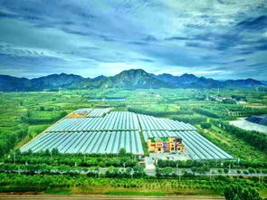 免費門票任你領，天葡莊園采葡萄 農業旅游開發的新篇章